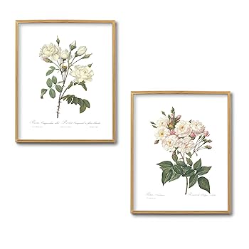 Amazon.com: Ink Inc. Vintage Botanical Prints | Roses White